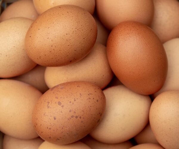 Illegal Egg Dumping Threatens Poultry Farmers