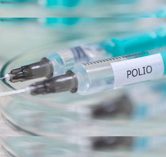 African region declared free of wild polio