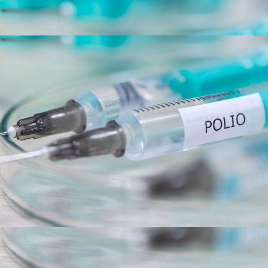 African region declared free of wild polio