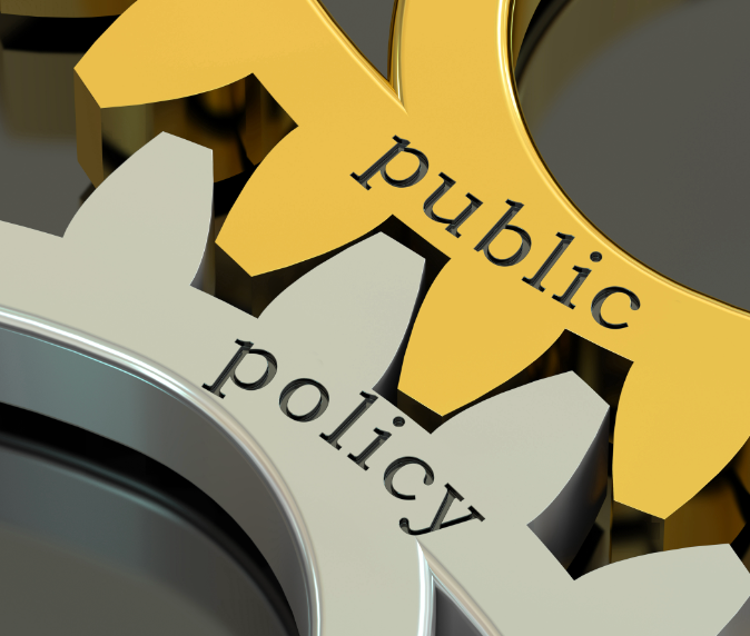 Understanding Public Policy: A Global Perspective